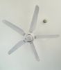 quat-tran-5-canh-superlite-max-cf-565c - ảnh nhỏ 4